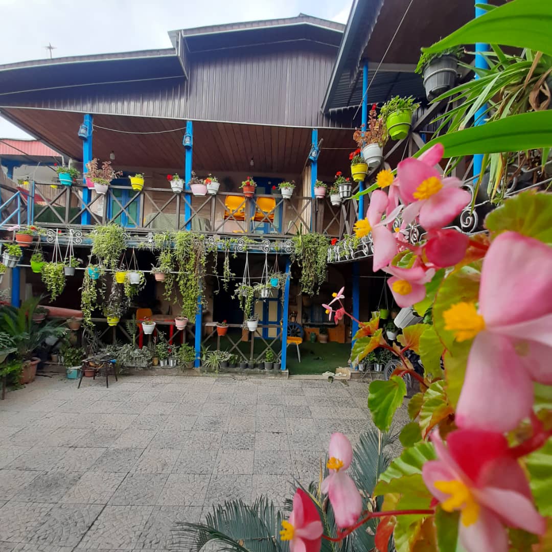 اجاره کلبه یک خوابه  جنگلی گرگان - تصویر 5