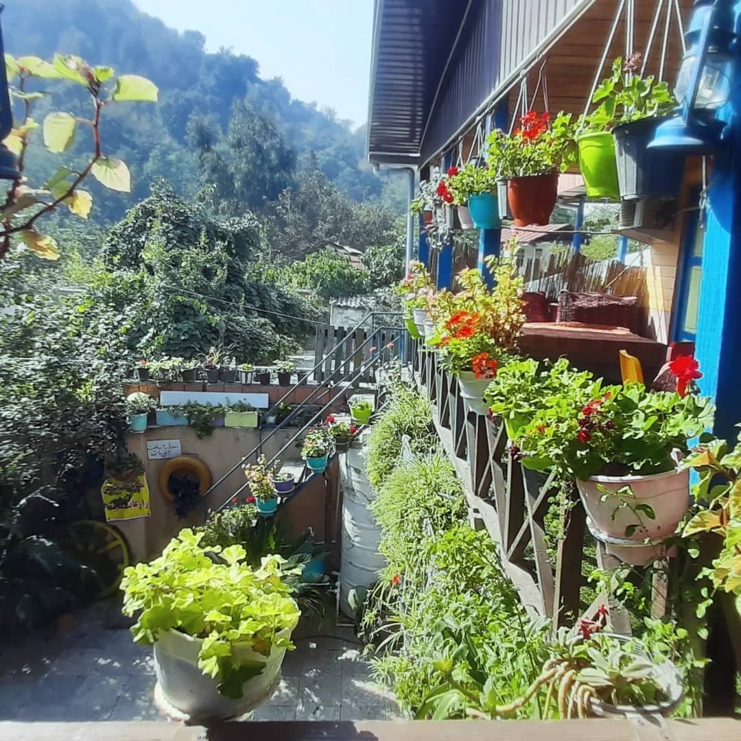 اجاره کلبه یک خوابه  جنگلی گرگان - تصویر 3