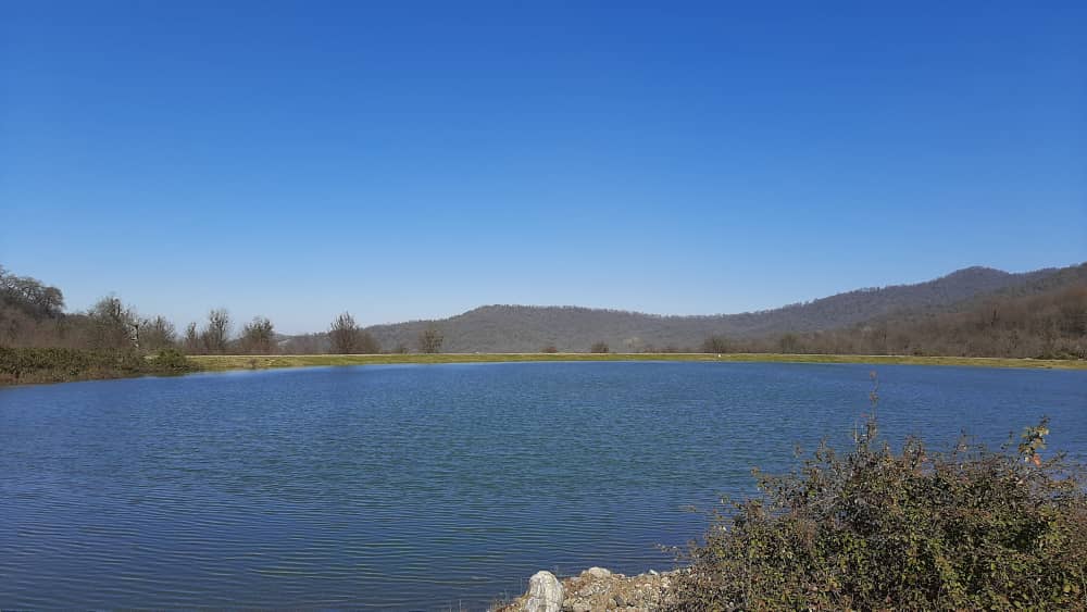 اجاره کلبه یک خوابه  جنگلی گرگان - کلبه جنگلی در گرگان